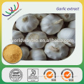 Factory garlic powder price /garlic extract/garlic powder /All specifications included